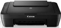 Sterownik Canon PIXMA MG2555S