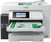 Sterownik Epson EcoTank Pro ET-16600